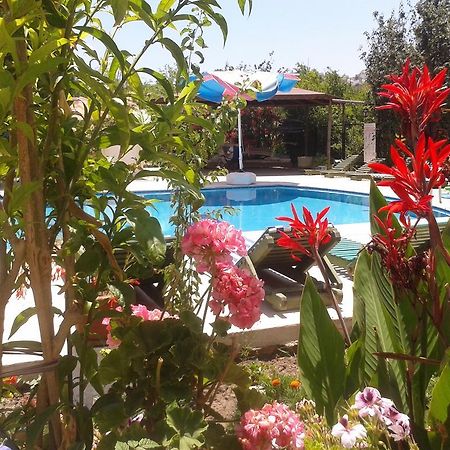 الشقق الفندقية Paradise Garden Gumusluk Evleri المظهر الخارجي الصورة