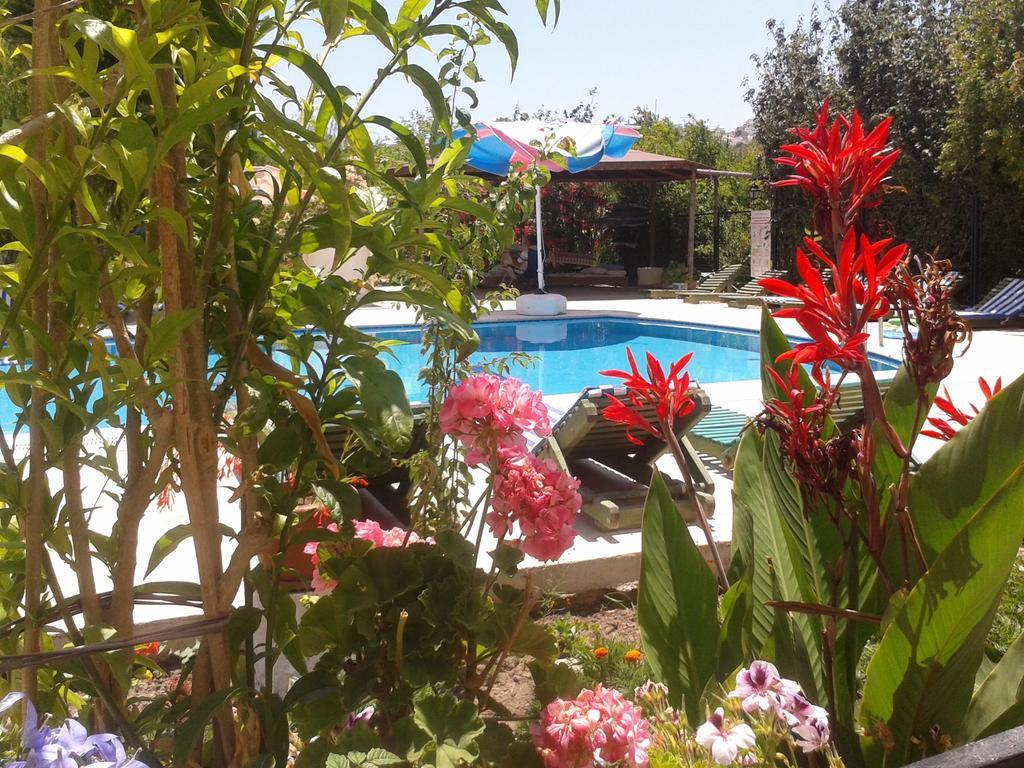 الشقق الفندقية Paradise Garden Gumusluk Evleri المظهر الخارجي الصورة