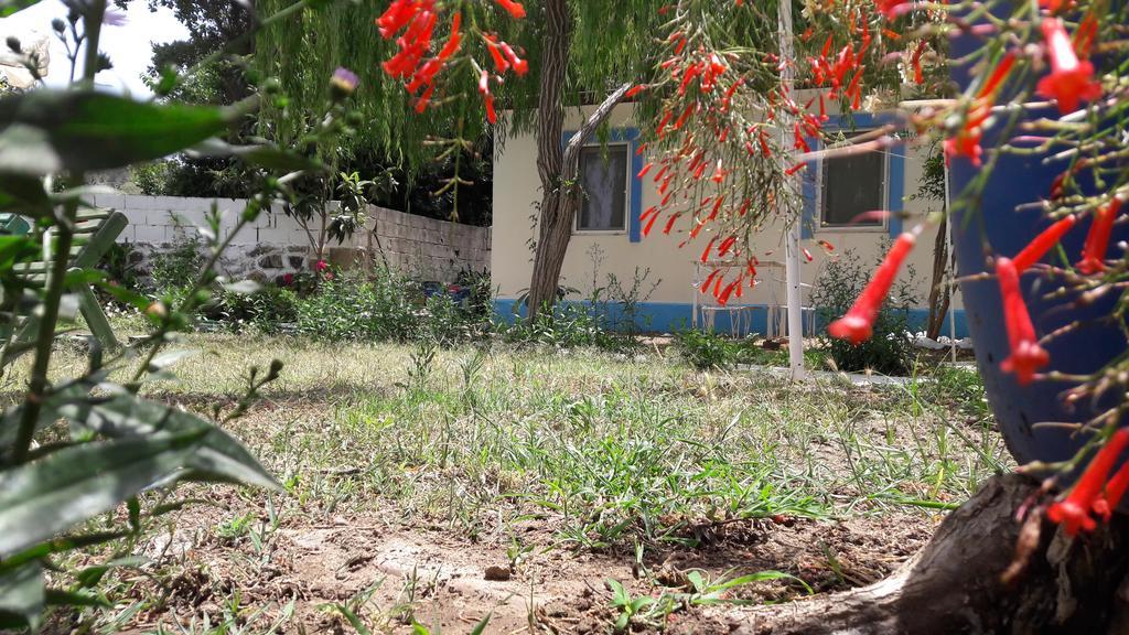 الشقق الفندقية Paradise Garden Gumusluk Evleri المظهر الخارجي الصورة