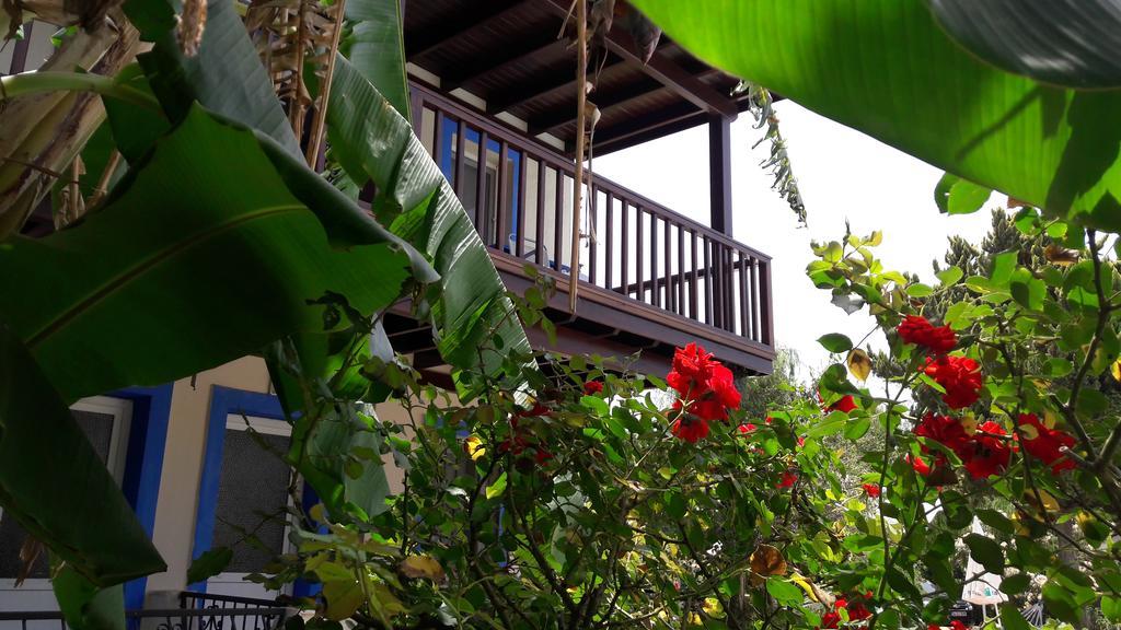 الشقق الفندقية Paradise Garden Gumusluk Evleri المظهر الخارجي الصورة